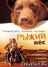 Рыжий пес / Red Dog (2011) [HD 720]