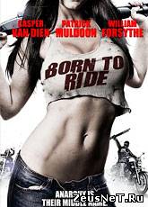 Прирожденный гонщик / Born to Ride (2011) [HD 720]