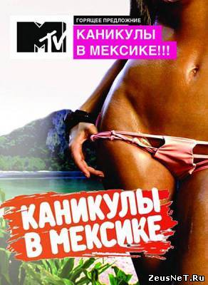 Каникулы в Мексике 2 (2012)