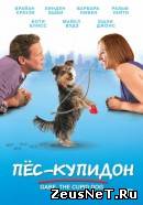фильм Пес-купидон