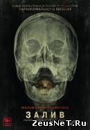 Залив (2012)