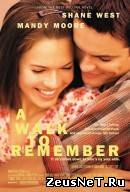 Спеши любить (2002)