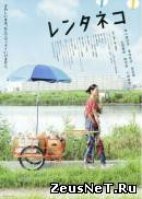 Кошка напрокат (2012)
